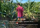 Perkuat Ketahanan Pangan Nasional, Kodim 1418/Mamuju Optimalkan Lahan Produktif di Kalukku